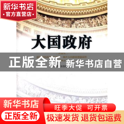 正版 大国政府 张世贤,陈恒钧著 中国政法大学出版社 97875620