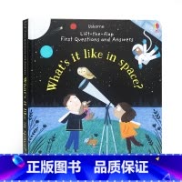 [正版]太空 立体小机关翻翻书 英文原版 Questions and Answers What's it Like i