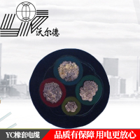 沃尔德电缆 橡套电缆 YC 450/750V 4*25