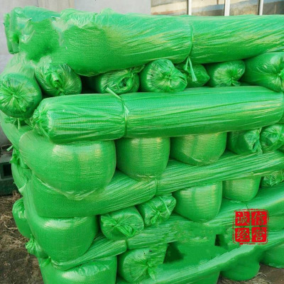 定制2针3针6针建筑工地绿色盖土网绿化网防尘网扬尘密目网安定做
