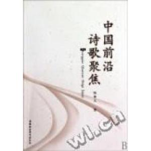 正版新书]中国前沿诗歌聚焦陈仲义著9787500482925