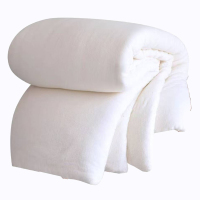 广顺泰 6斤垫絮(含垫絮套) DX6J 120*200cm 套