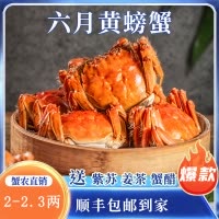苏州大闸蟹蟹灵阁鲜活六月黄大闸蟹2两8只装公母随机大螃蟹鲜甜满黄直达到家死蟹包赔