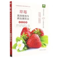 [N]草莓高效栽培与病虫害防治彩色图谱/扫码看视频轻松学技术丛书-9787109300521