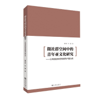 音像微社群空间中的青年亚文化研究--以网络剧和用户圈为例董金权