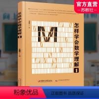 怎样学会数学理解.1 高中通用 [正版]怎样学会数学理解 1 中学数学课 教学研究 高中数学教学 王思俭著 江苏凤凰教育