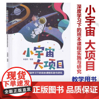 小宇宙大项目 深度学习下的班本课程实施与研究 朱建莉 幼儿园项目课程探索选题思路实践案例 学前教育 䢪就完整儿童 综合