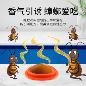 杀蟑螂药家用非无毒孕妇婴儿一窝全窝端灭绝杀一扫尽神器正品饵贴3759A