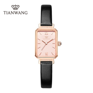 天王女士手表石英表轻奢复古小绿表防水皮带女表送女友老婆生日礼物推荐31283