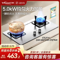 万和(Vanward)[小灶君]B6液化气燃气灶具钢化玻璃煤气炉双灶嵌入式4.5kW家用猛火一级能效家电 B6B60