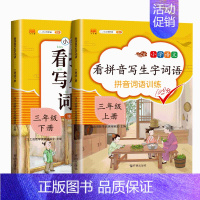 看拼音写生上下册 小学三年级 [正版]斗半匠语文专项训练小学三年级上册下册课外阅读理解强化训练题看图写话看拼音写词语生字
