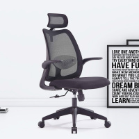 臻远ZY-7823 办公椅人体工学椅转椅电脑椅 黑色旋转扶手