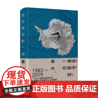 关于告别的一切 路内 著 小说