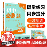 2025春初中必刷题 化学九年级下册 RJ