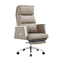 臻远 ZY-BGY-35 办公椅转椅人体工学椅电脑椅会议椅老板椅西皮带脚踏 (灰色)