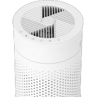 leking 车载空气净化器 车内杀菌除甲醛净味除异味除菌 P70