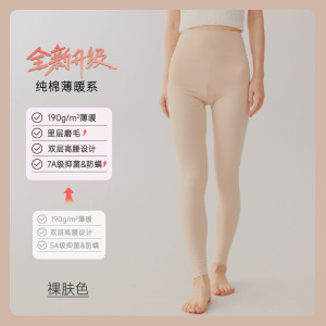 学生纯棉秋裤女内穿薄款春秋保暖裤高腰女士新款修身工厂