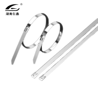 仨鑫 不锈钢扎带 多sku备用链接