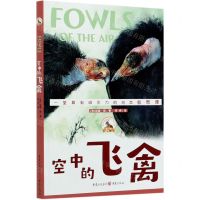 [N]空中的飞禽/百年传世动物文学书系-9787229144999