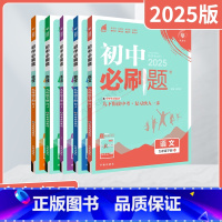 语文数学英语物理化学5本[人教版] 九年级下 [正版]2025春适用5本初中九年级下册语文数学英语物理化学RJ人教版中考