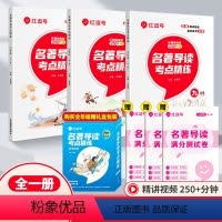 [7-9年级]名著考点精练(全3册)❤赠礼盒包装 初中通用 [正版]2024版著导读考点精练初中生必读名著导读与考点七八