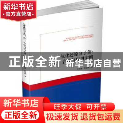 正版 氧化还原分子筛:设计、合成与应用实例 王玮璐,张贤明 西