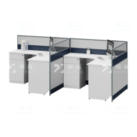 臻远ZYGW-033 屏风工作卡位职员桌办公桌F型双人位