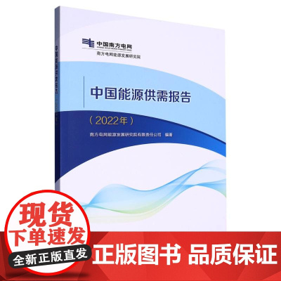 中国能源供需报告(2022年)