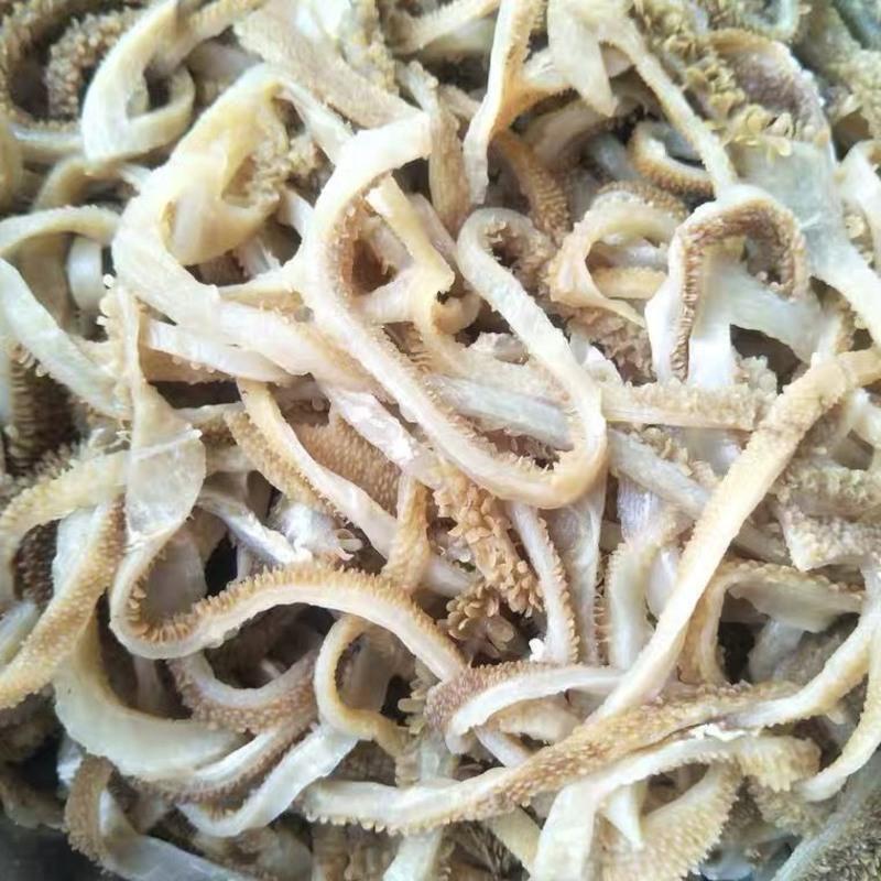 金钱肚新鲜冷冻蜂窝肚半成品非全熟黄牛肚牛杂商用火锅食材 羊肚丝5斤