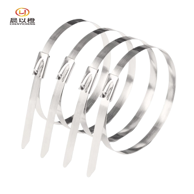 晨以橙 不锈钢扎带 4.6mm*500mm