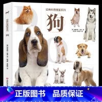 经典科普图鉴系列-狗 [正版]经典科普图鉴系列 狗猫犬猫的特征性格以及饲养技巧等内容大量美图带您近距离欣赏猫狗了解每种猫