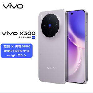 vivo X300 惬意紫 16GB+512GB 蓝晶×天玑9500芯 大电池 90W快充 支持无线充电 蔡司超级潜望长焦 拍照 AI手机