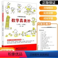 数学真美妙 3-4年级 [正版]2022新版数学真美妙3-4年级小学三四年级数学课外趣味读物思维训练举一反三强化训练练习