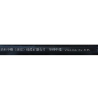 华科中缆 铠装电力电缆 VV22-0.6/1KV-2×35 米