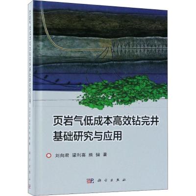 页岩气低成本高效钻完井基础研究与应用