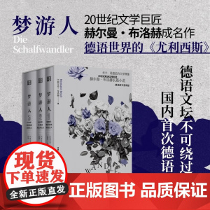 梦游人 赫尔曼·布洛赫 著 小说