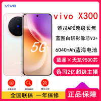 [全新]vivo X300 幸运彩 16GB+256GB 蓝晶×天玑9500芯 大电池 90W快充 支持无线充电 蔡司超级潜望长焦 拍照 AI手机