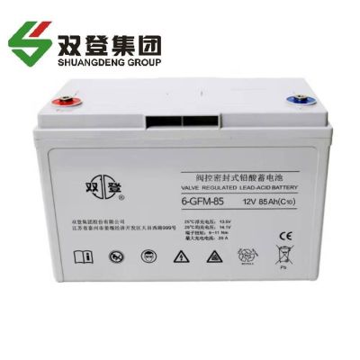 双登铅酸蓄电池6-GFM-85 含配件
