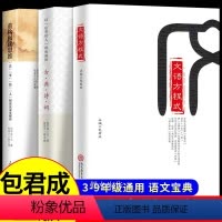 [视频课程]包君成文学素养三件套 小学通用 [正版]全套3册文语方程式+重构阅读思维+破解古典诗词包君成文学素养三件