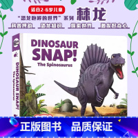 [正版]英文原版 恐龙斯纳普,棘龙 Dinosaur Snap! The Spinosaurus 幼儿儿童英语启蒙押韵绘