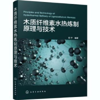 音像木质纤维素水热炼制原理与技术石宁编著