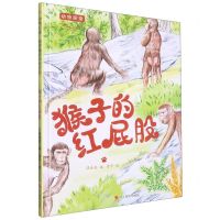 [N]猴子的红屁股(精)/动物探索超有趣的动物百科-9787551443562