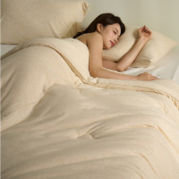 双A类亲肤保暖云朵被子冬被加厚保暖春秋被芯棉被褥四季通用