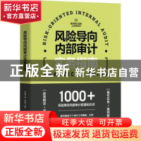 正版 风险导向内部审计实务指南 付淑威 人民邮电出版社 97871155