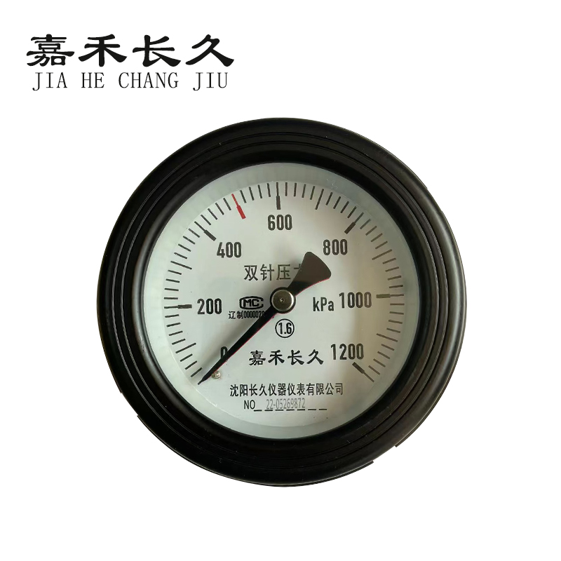 嘉禾长久 轴向双针表 YYS-100Z 1200KPA 台