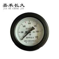 嘉禾长久 轴向双针表 YYS-100Z 1200KPA 台