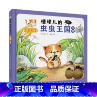 泥土篇 [正版]糖球儿的虫虫王国历险(6册)可以单发 精装硬壳绘本彩绘版 幼儿园阅读昆虫科学图画书 3-6岁幼儿童早教启