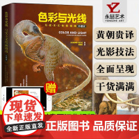 贵哥色彩与光线光影形象大师作品集入门精通配色人民邮电珍藏版写实主义绘画指南珍藏版詹姆斯格尔尼黄朝贵艺术上色