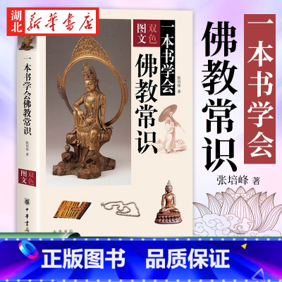 [正版]一本书学会佛教常识 张培锋 著 系统全面介绍佛教的基础知识 学习佛教知识的通俗读物 了解佛教文化的便捷途径 中