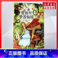 爱丽丝梦游仙境 [正版]爱丽丝梦游仙境 6-9-12岁小学生一二三四五六年级儿童文学经典童话故事书课外读物书籍亲子睡前共